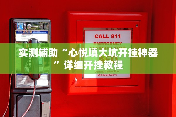 实测辅助“心悦填大坑开挂神器”详细开挂教程