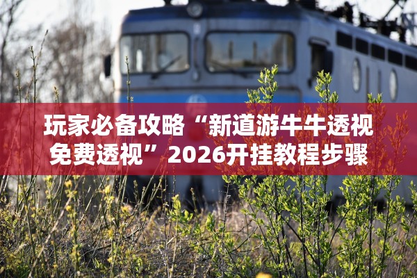 玩家必备攻略“新道游牛牛透视免费透视”2026开挂教程步骤