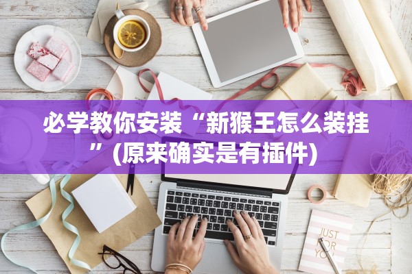 必学教你安装“新猴王怎么装挂	”(原来确实是有插件) 