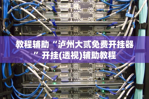 教程辅助“泸州大贰免费开挂器”开挂(透视)辅助教程