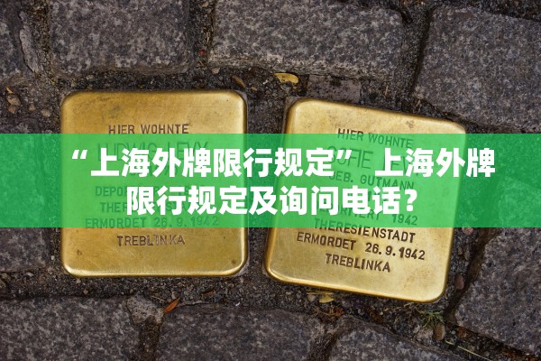 “上海外牌限行规定” 上海外牌限行规定及询问电话？