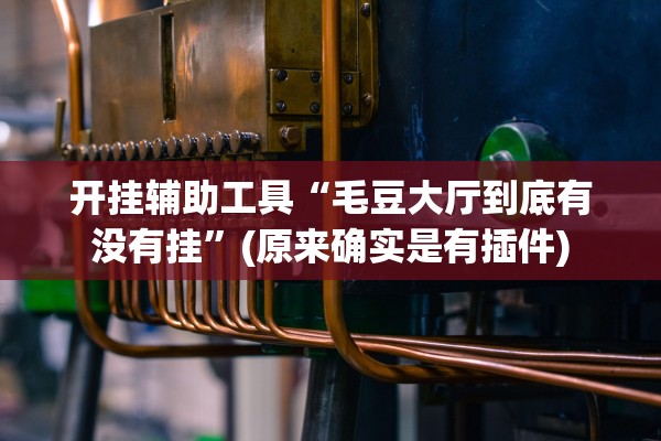 开挂辅助工具“毛豆大厅到底有没有挂	”(原来确实是有插件)