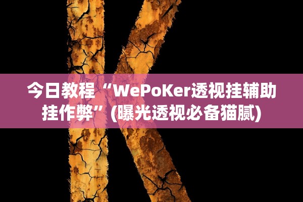 今日教程“WePoKer透视挂辅助挂作弊”(曝光透视必备猫腻)