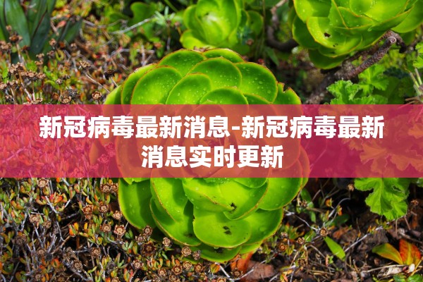 新冠病毒最新消息-新冠病毒最新消息实时更新