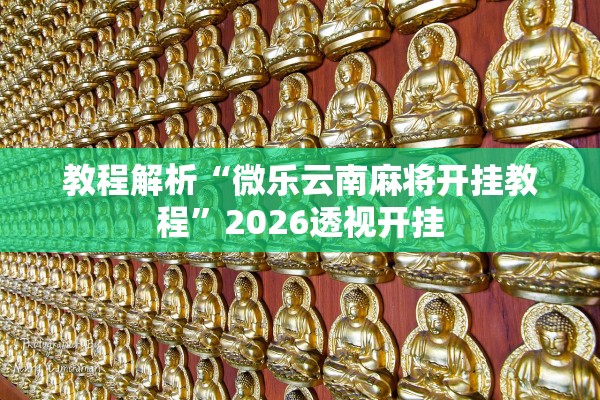 教程解析“微乐云南麻将开挂教程	”2026透视开挂