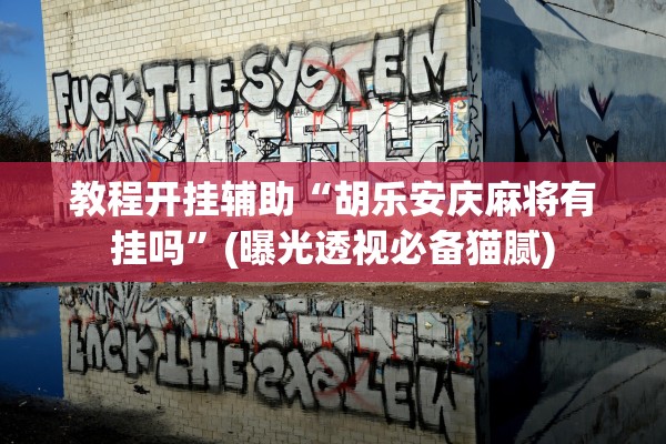 教程开挂辅助“胡乐安庆麻将有挂吗”(曝光透视必备猫腻)