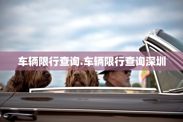 车辆限行查询.车辆限行查询深圳