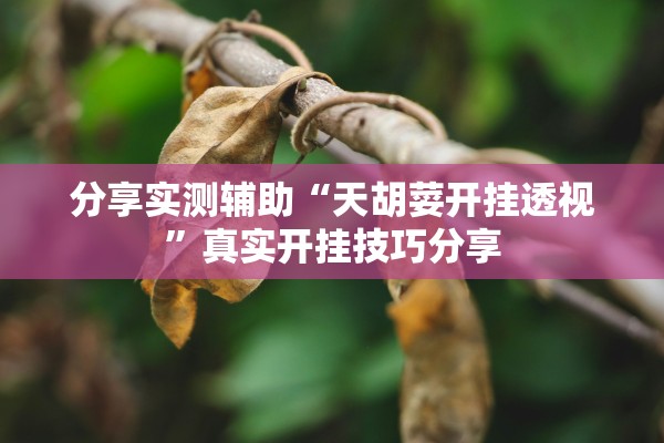 分享实测辅助“天胡荽开挂透视”真实开挂技巧分享
