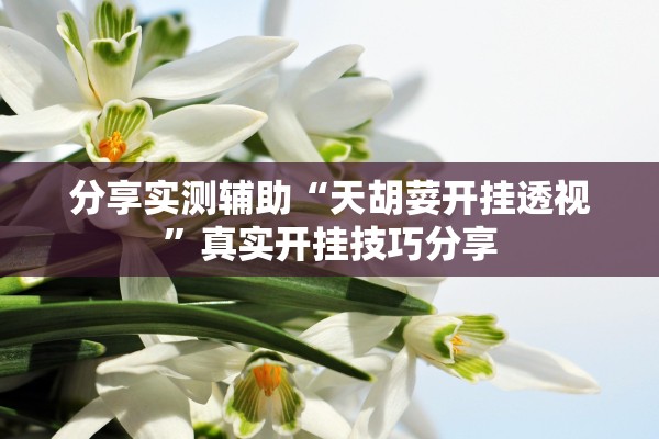分享实测辅助“天胡荽开挂透视”真实开挂技巧分享