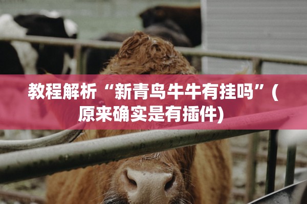 教程解析“新青鸟牛牛有挂吗”(原来确实是有插件) 