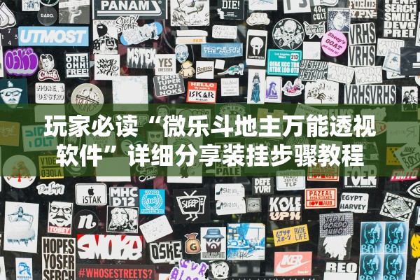 玩家必读“微乐斗地主万能透视软件”详细分享装挂步骤教程