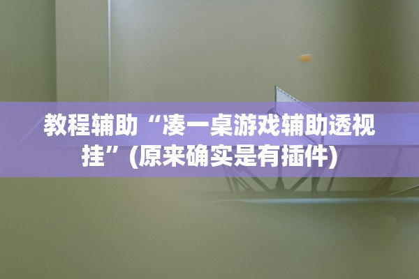 教程辅助“凑一桌游戏辅助透视挂	”(原来确实是有插件)