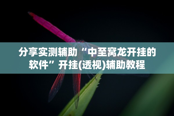 分享实测辅助“中至窝龙开挂的软件	”开挂(透视)辅助教程
