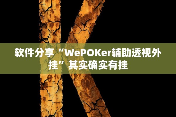 软件分享“WePOKer辅助透视外挂	”其实确实有挂