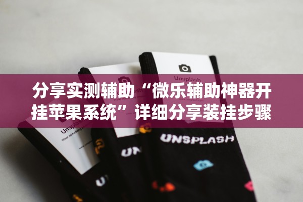 分享实测辅助“微乐辅助神器开挂苹果系统”详细分享装挂步骤教程