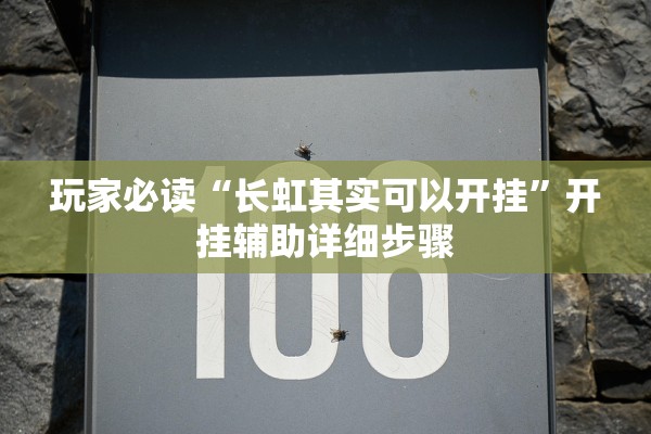 玩家必读“长虹其实可以开挂”开挂辅助详细步骤