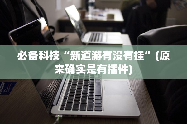 必备科技“新道游有没有挂”(原来确实是有插件)