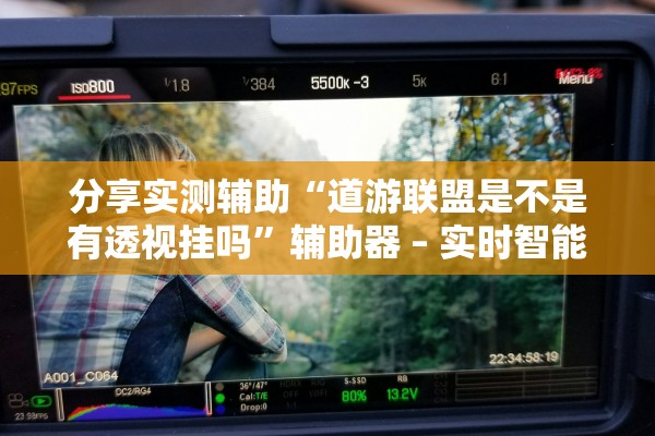 分享实测辅助“道游联盟是不是有透视挂吗”辅助器 – 实时智能回复