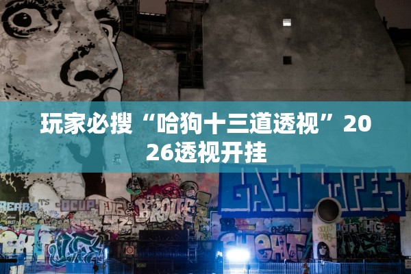 玩家必搜“哈狗十三道透视”2026透视开挂