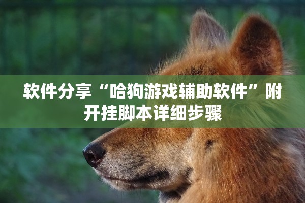 软件分享“哈狗游戏辅助软件	”附开挂脚本详细步骤