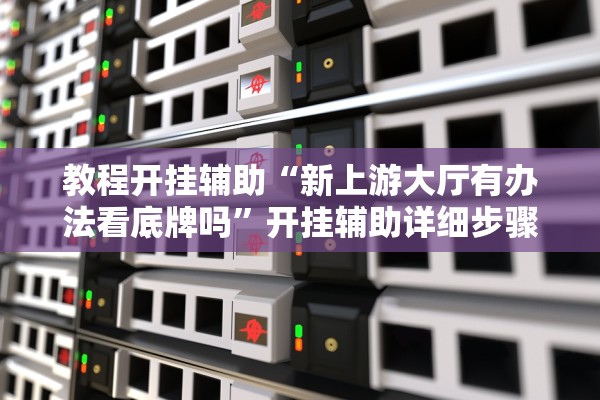 教程开挂辅助“新上游大厅有办法看底牌吗”开挂辅助详细步骤