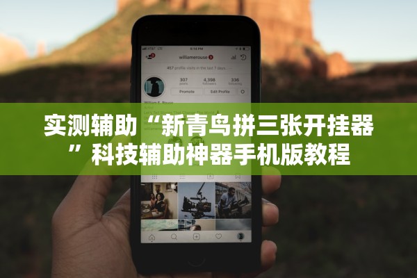 实测辅助“新青鸟拼三张开挂器	”科技辅助神器手机版教程