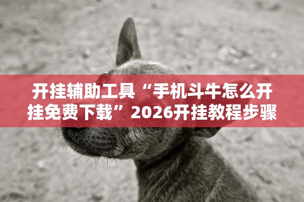 开挂辅助工具“手机斗牛怎么开挂免费下载”2026开挂教程步骤