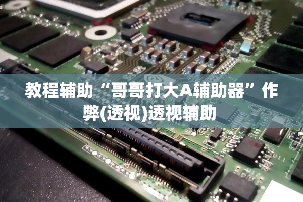 教程辅助“哥哥打大A辅助器”作弊(透视)透视辅助 
