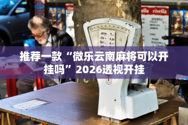推荐一款“微乐云南麻将可以开挂吗”2026透视开挂