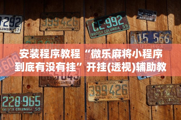 安装程序教程“微乐麻将小程序到底有没有挂”开挂(透视)辅助教程