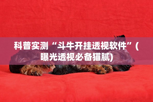 科普实测“斗牛开挂透视软件”(曝光透视必备猫腻)