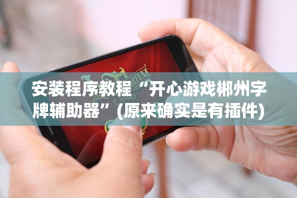 安装程序教程“开心游戏郴州字牌辅助器”(原来确实是有插件)