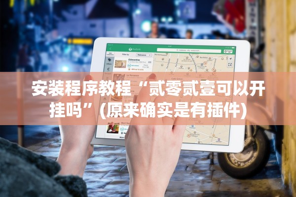 安装程序教程“贰零贰壹可以开挂吗”(原来确实是有插件)