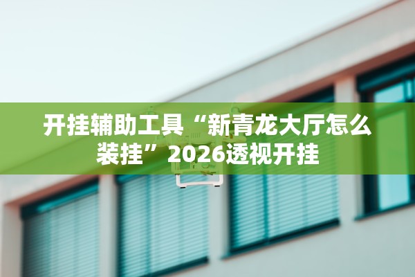 开挂辅助工具“新青龙大厅怎么装挂”2026透视开挂