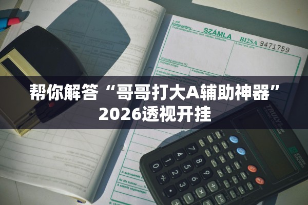 帮你解答“哥哥打大A辅助神器”2026透视开挂