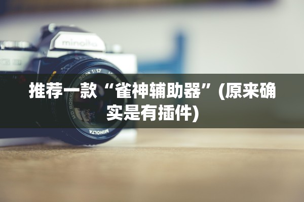 推荐一款“雀神辅助器”(原来确实是有插件)
