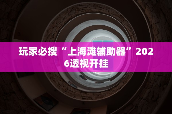 玩家必搜“上海滩辅助器”2026透视开挂