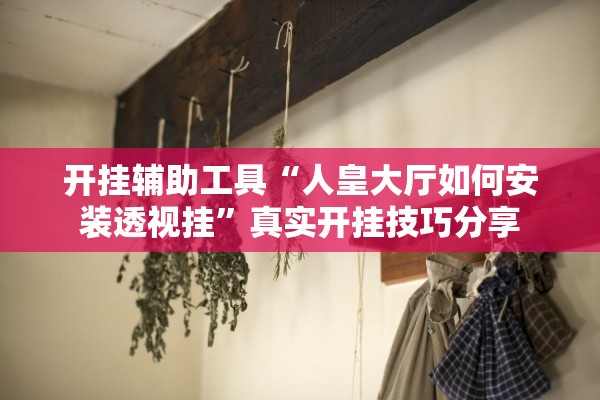 开挂辅助工具“人皇大厅如何安装透视挂	”真实开挂技巧分享