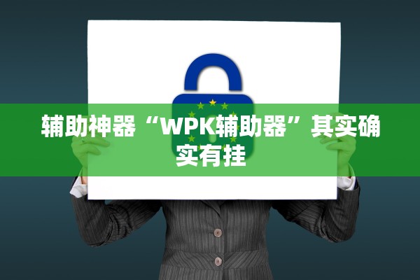 辅助神器“WPK辅助器”其实确实有挂