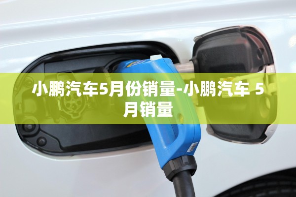 小鹏汽车5月份销量-小鹏汽车 5月销量 小鹏汽车5月份销量-小鹏汽车 5月销量