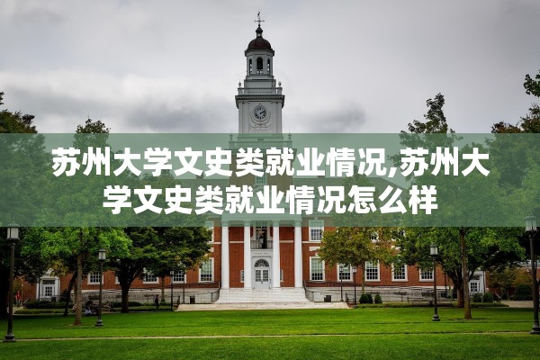 苏州大学文史类就业情况,苏州大学文史类就业情况怎么样