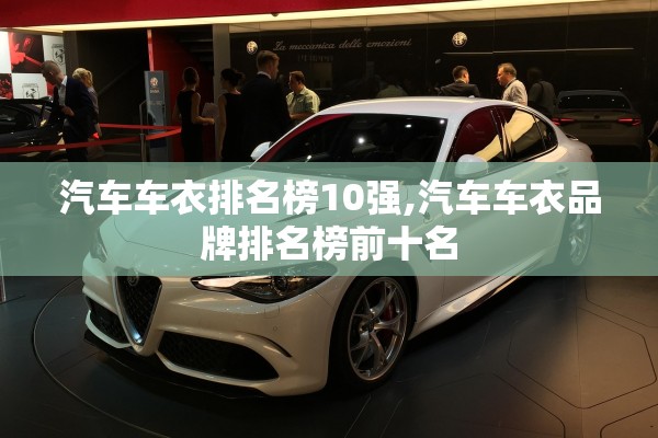 汽车车衣排名榜10强,汽车车衣品牌排名榜前十名