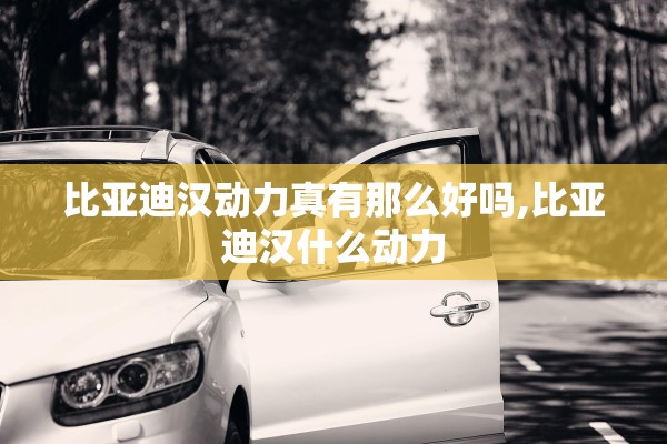 比亚迪汉动力真有那么好吗,比亚迪汉什么动力