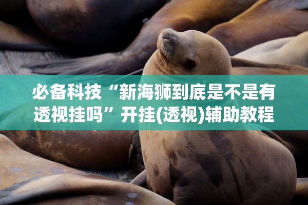 必备科技“新海狮到底是不是有透视挂吗	”开挂(透视)辅助教程