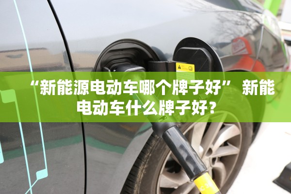 “新能源电动车哪个牌子好	” 新能电动车什么牌子好？