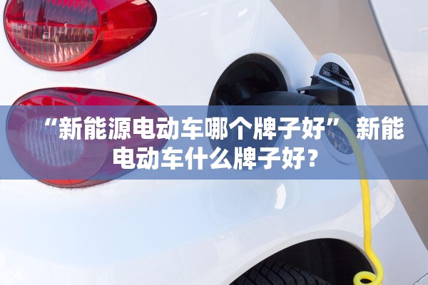“新能源电动车哪个牌子好	” 新能电动车什么牌子好？