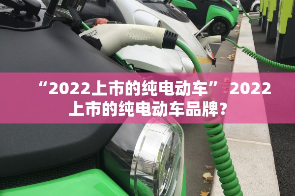 “2022上市的纯电动车	” 2022上市的纯电动车品牌？