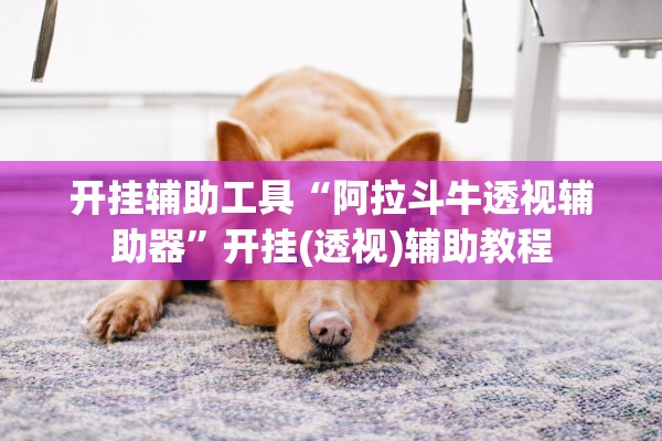 开挂辅助工具“阿拉斗牛透视辅助器”开挂(透视)辅助教程