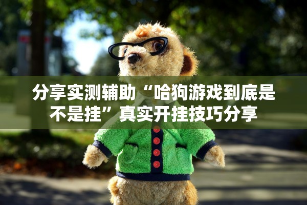 分享实测辅助“哈狗游戏到底是不是挂”真实开挂技巧分享