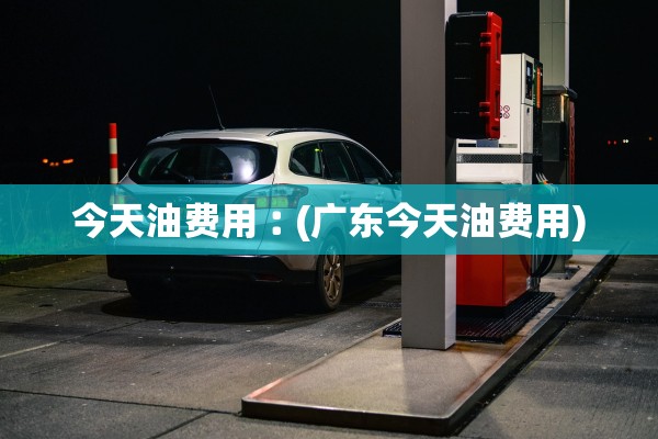 今天油费用︰(广东今天油费用) 今天油费用︰(广东今天油费用)